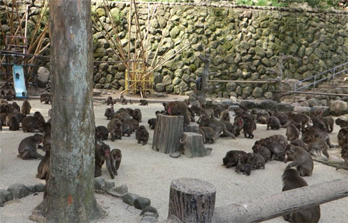 九州794.jpg