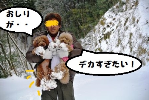みんなで雪遊び (103).JPG