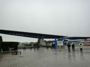 ひたち海浜公園15.jpg