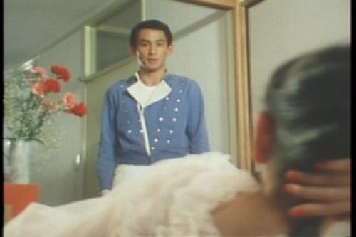 PDVD_029.jpg