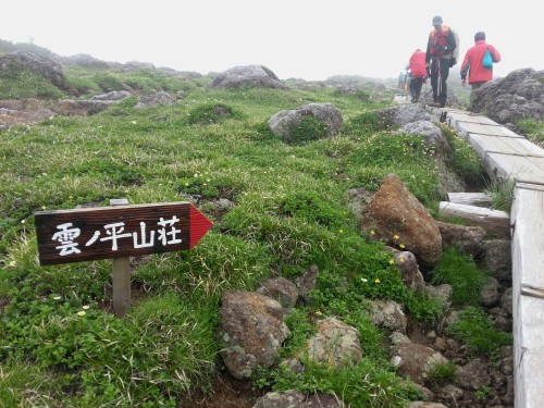 雲ノ平標識.jpg