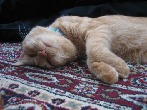 July 17, 2013(7).JPG