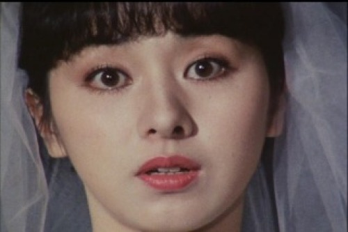 PDVD_026.jpg