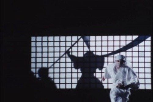 PDVD_003.jpg