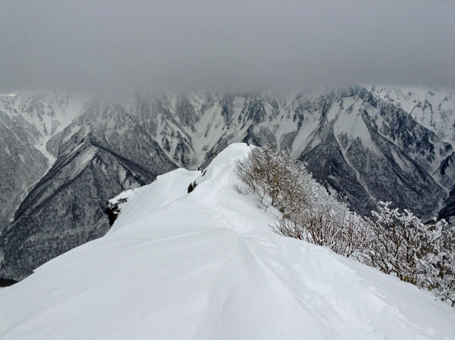 Shiragamon20160107.JPG
