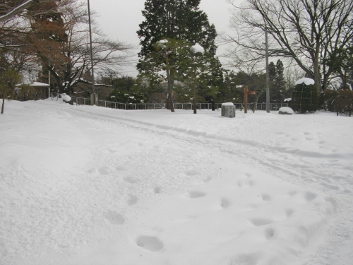 盛岡城三の丸 (500x375).jpg