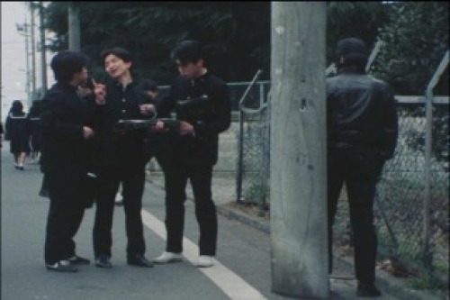 PDVD_008.jpg