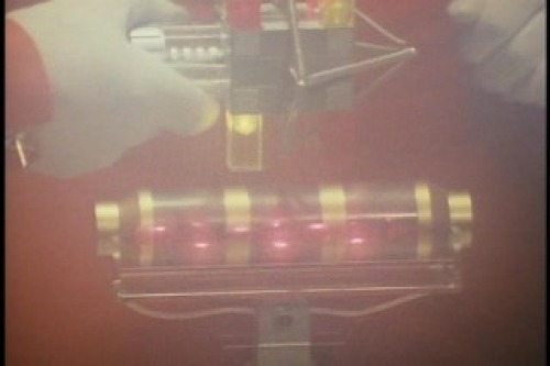 PDVD_002.jpg