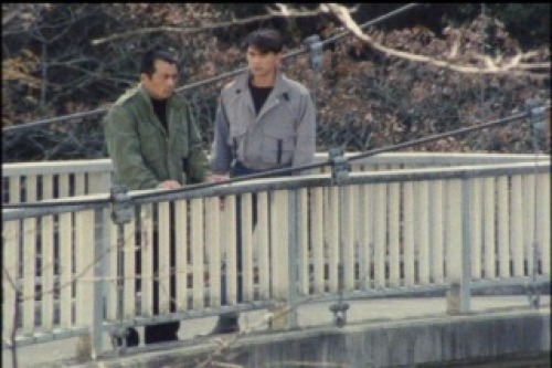 PDVD_020.jpg