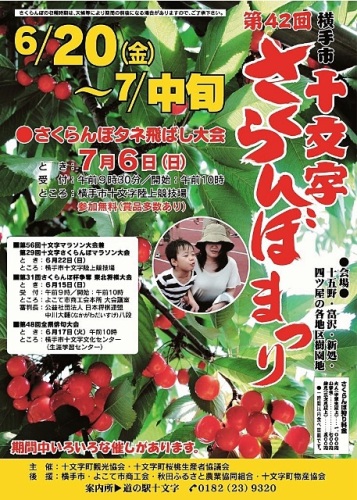 42回さくらんぼまつり.jpg