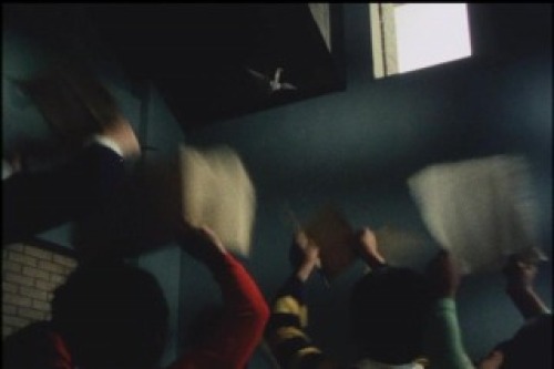 PDVD_034.jpg