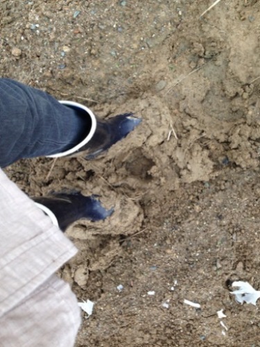 201310221728_1185_iphone.jpg