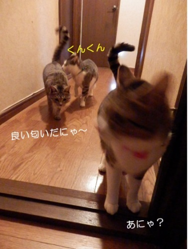 20150108_6.jpg