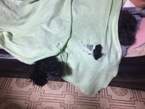 IMG_0411 - コピー.JPG