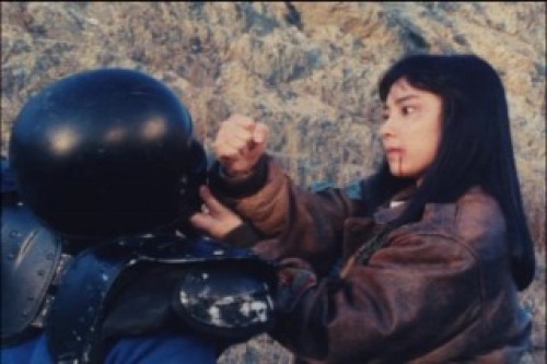 PDVD_262.jpg