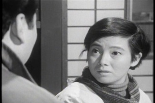 PDVD_031.jpg