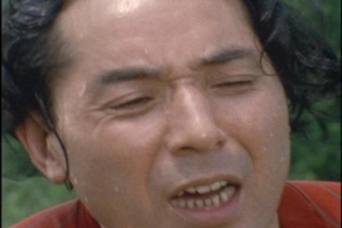 PDVD_009.jpg