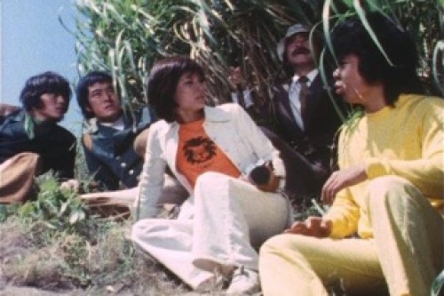 PDVD_011.jpg