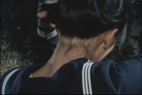 PDVD_010.jpg