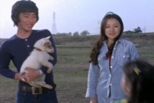 PDVD_017.jpg