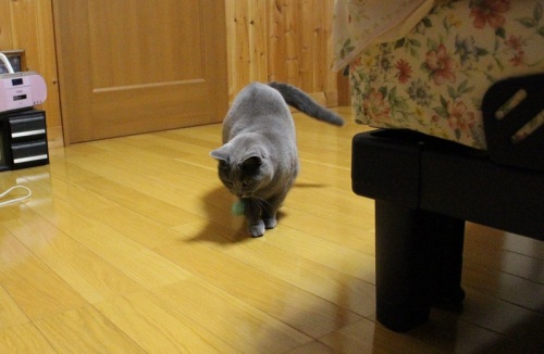 0109e.jpg