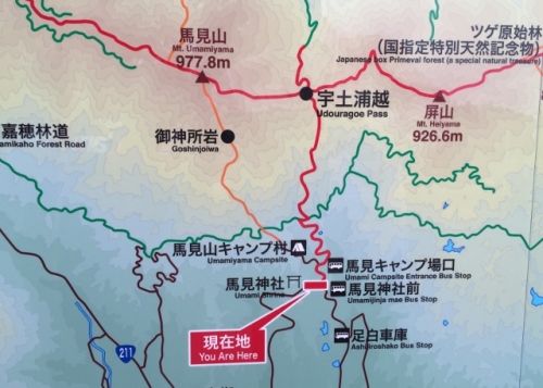 IMG_7695 (640x457).jpg