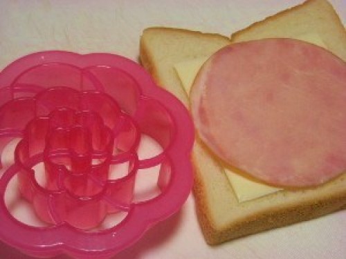 DSCN7875 (300x225).jpg