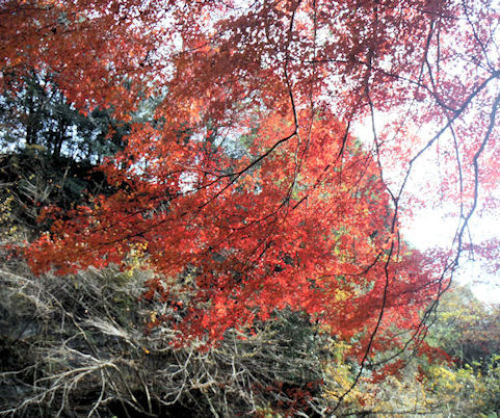 粟又の滝から滝巡り
