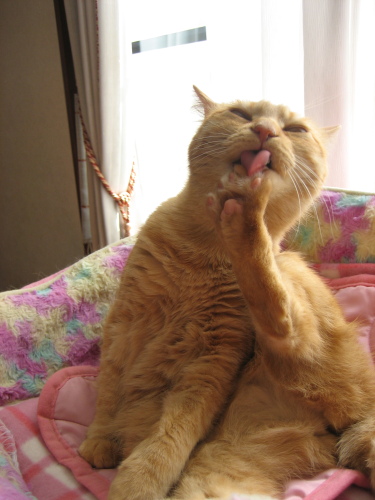 Oct. 28, 2015(2).JPG