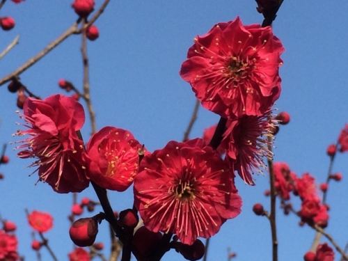 IMG_4282 (640x480).jpg