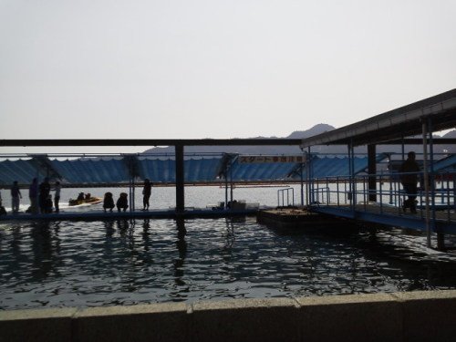 ボートレース宮島（桟橋）
