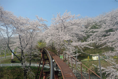 船岡30.jpg