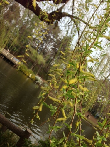 20130324－3.jpeg