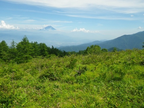 富士山と毛無山.JPG