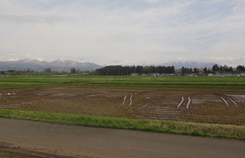 雫石園地5.jpg