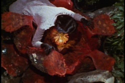 PDVD_021.jpg