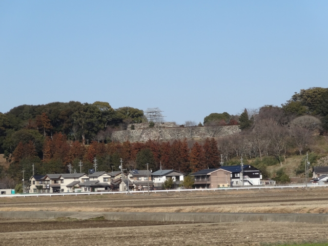 DSC00322.jpg