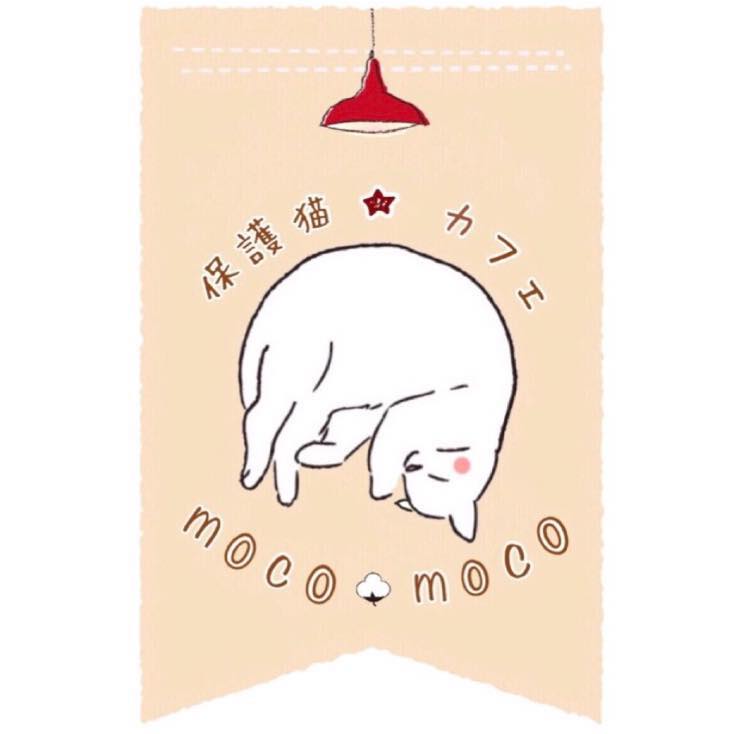 保護猫カフェ Mocomoco あずきちゃん 猫 のお散歩ブログ 楽天ブログ