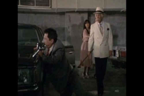 PDVD_014.jpg