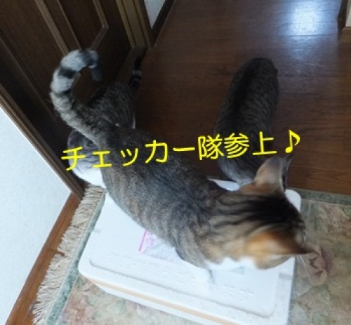 20130601_2.jpg