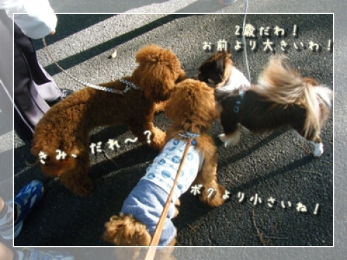 DSCF4263.JPG