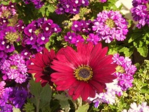 DSCN6829 (300x225).jpg