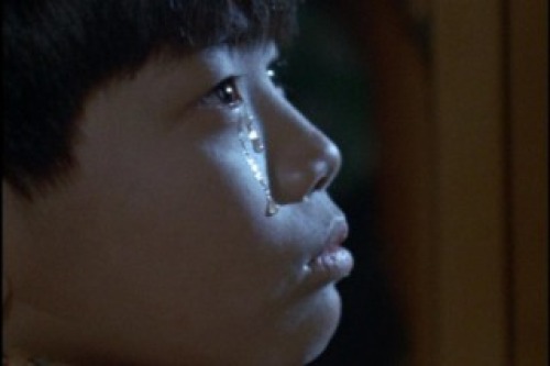 PDVD_009.jpg