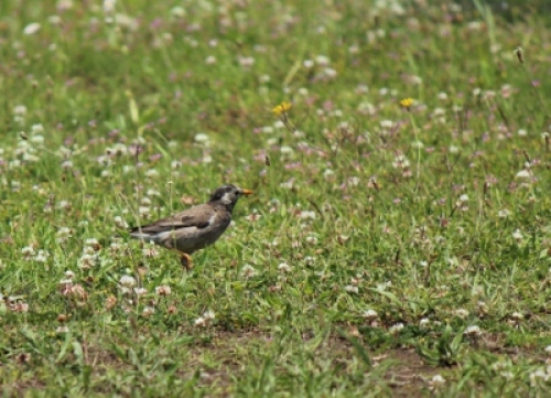 IMG_5829 (400x289).jpg