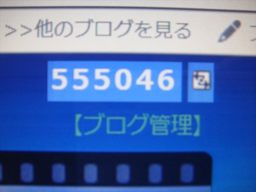 DSC08684_R.JPG