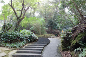 九州482.jpg