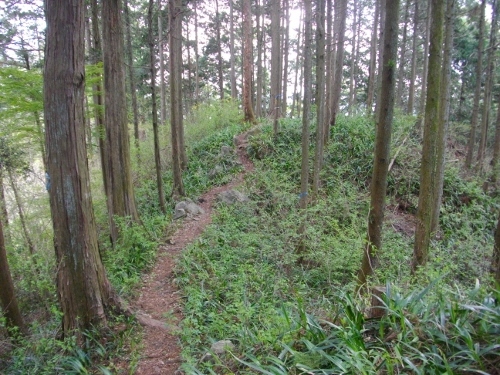 辛垣城矢倉台 (500x375).jpg