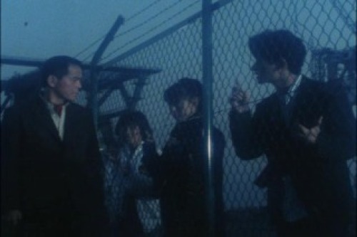 PDVD_182.jpg