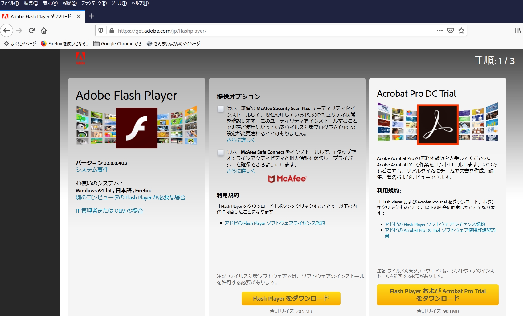 Adobe Flash Playerなど無料ソフトをインストールする時の注意 きんちゃんのぷらっとドライブ 写真撮影 楽天ブログ