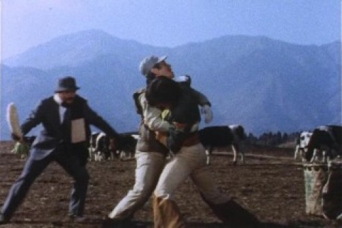 PDVD_013.jpg
